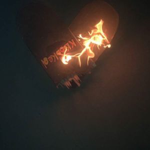 Meet your Posher, Brando